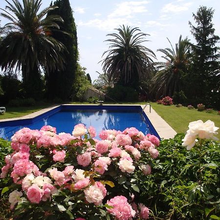 Villa Iolanda-Sive Natura Wine&House Giarre Buitenkant foto
