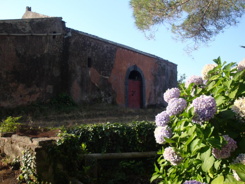 Villa Iolanda-Sive Natura Wine&House Giarre Buitenkant foto