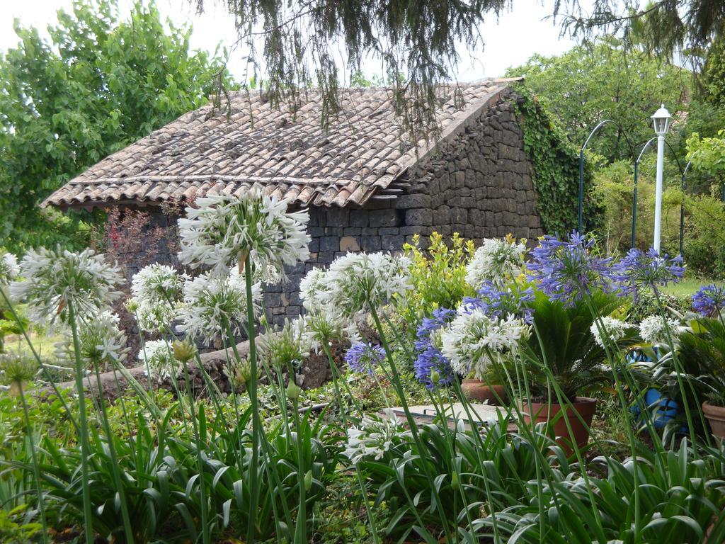 Villa Iolanda-Sive Natura Wine&House Giarre Buitenkant foto
